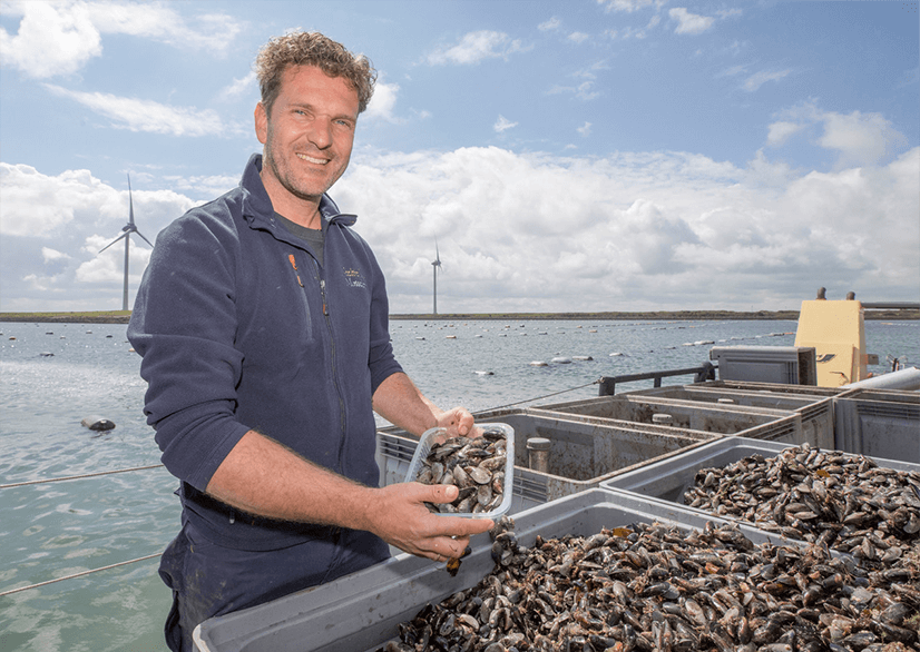 Neeltje Jans Mosselen