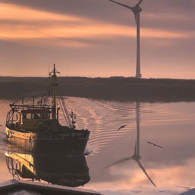 Aanvoer van de verse bodemmosselen, door de ZZ4.
🛶
Supply of the mussels by vessel ZZ4⚓️

#mosselen #zeeland #vis #oosterschelde #mussels #fish #seafood
