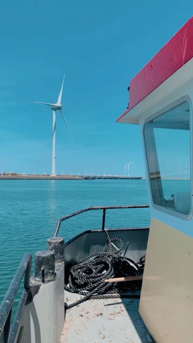 Een klant van de Belgische kust was benieuwd waar al die lekker hangcultuur nou eigenlijk vandaan kwamen 🤷🏻‍♂️
Deze vraag hebben wij beantwoord met een tochtje door de dokken waar onze mosselen groeien. En dat was geen straf☀️