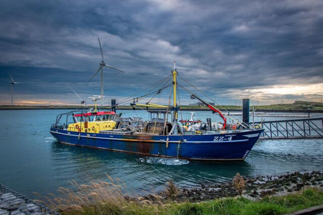 📷 Gave foto van de ZZ4 die op dat moment een vracht mosselen aan het lossen is bij onze fabriek op Neeltje Jans.
Deze schitterende foto is gemaakt door @fotoment_nl 👌🏼

#oosterschelde #mosselen #neeltjejans #ship #zeeland