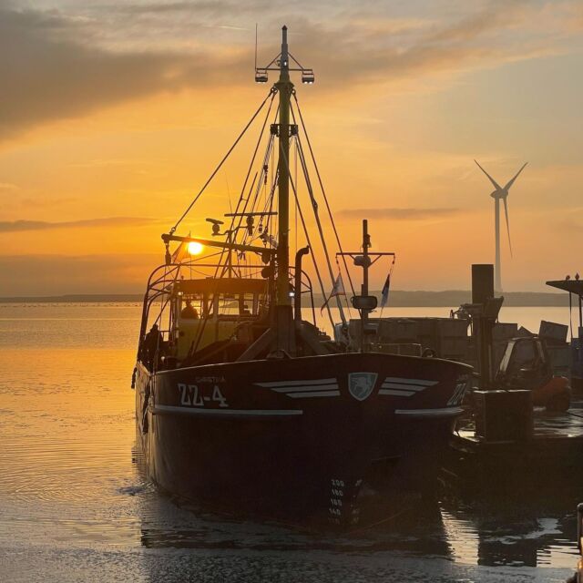 Klein wereldje deze morgen door de dichte mist boven land. Maar niet op Neeltje Jans. Het was een prachtige zonsopkomst. Hoe zit dat? 

Er zijn meerdere soorten mist en deze morgen spraken we van advectieve mist.

Advectieve mist (ook wel slootmist) ontstaat bij aanvoer van relatief warme lucht boven een kouder oppervlak. De warme lucht wordt afgekoeld door het oppervlak. Als de warme lucht veel vocht bevat, wordt de lucht verzadigd en condenseert dan tot mist. In de winter komt deze mistsoort vaak voor, wanneer er door een westenwind vochtige warme lucht van zee wordt aangevoerd die over het koude land trekt. (Wikipedia) 

#zeeland #zeelandfotografie #natuur #oosterschelde #neeltjejans #mosselen